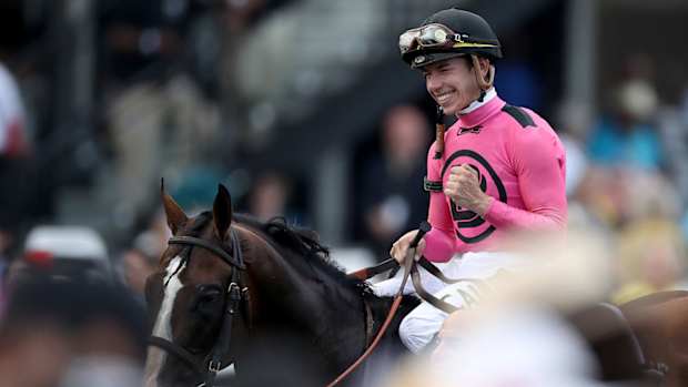 war_of_will_prepares_to_enter_winners_circle_at_preakness.jpg